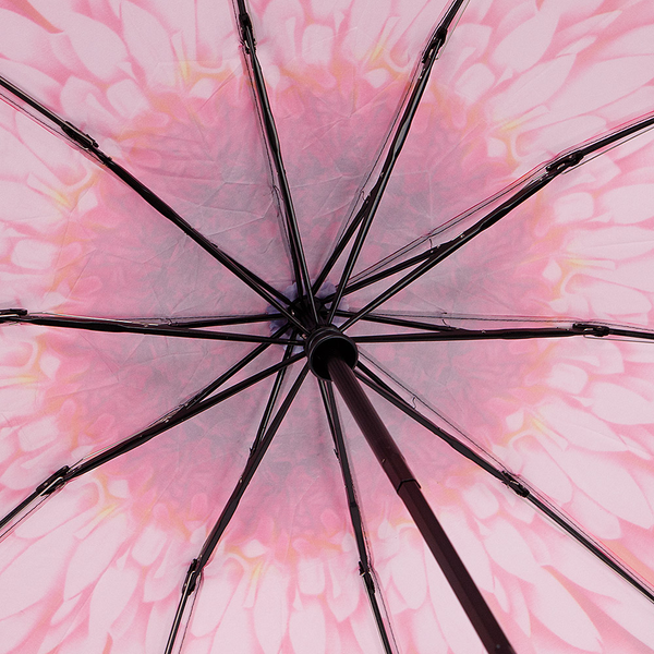 Изображение товара Зонт складной Rain Berry 734-23340.1 (черный/светло-розовый)