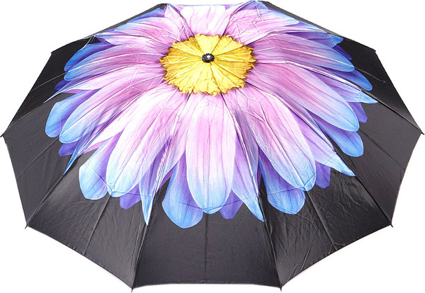 Изображение товара Зонт складной Rain Berry 734-23340.2 (черный/голубой)