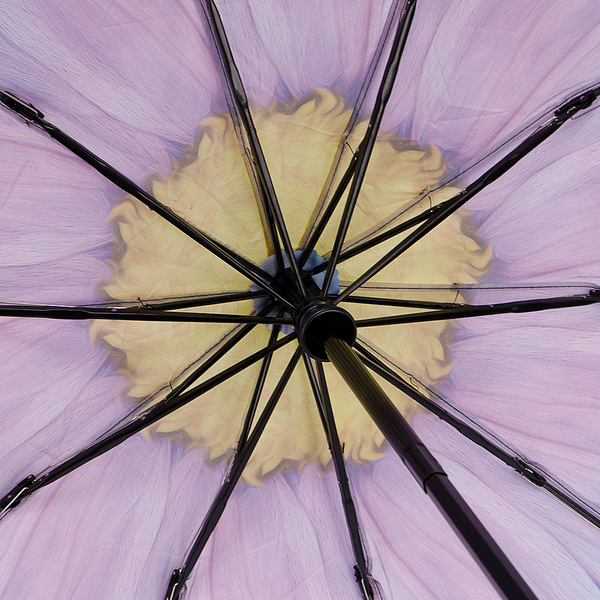 Изображение товара Зонт складной Rain Berry 734-23340.2 (черный/голубой)