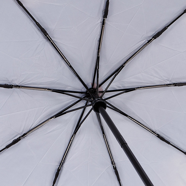 Изображение товара Зонт складной Rain Berry Колесо обозрения / 734-23341.3