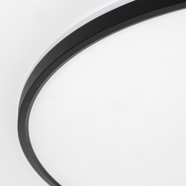 Изображение товара Потолочный светильник Citilux Norma CL748601