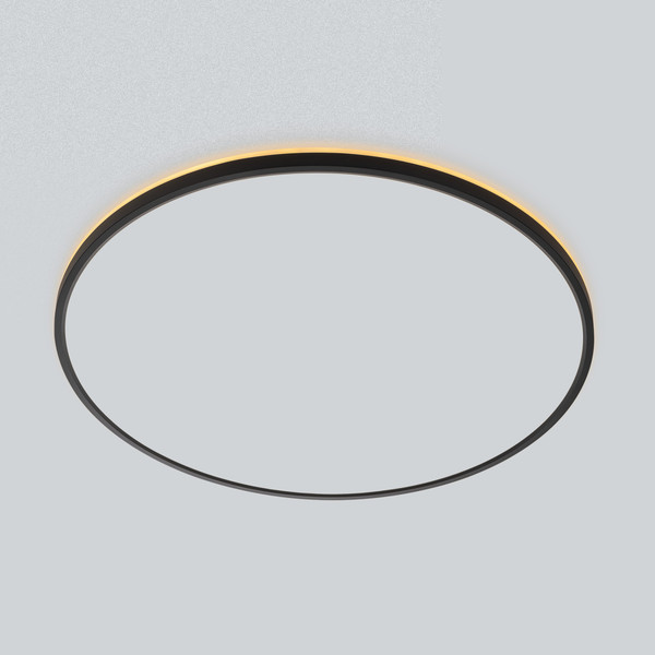 Изображение товара Потолочный светильник Citilux Norma CL748601