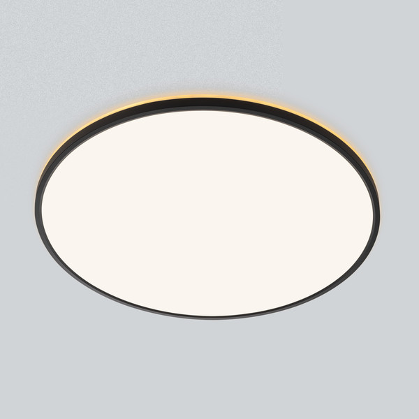 Изображение товара Потолочный светильник Citilux Norma CL748601