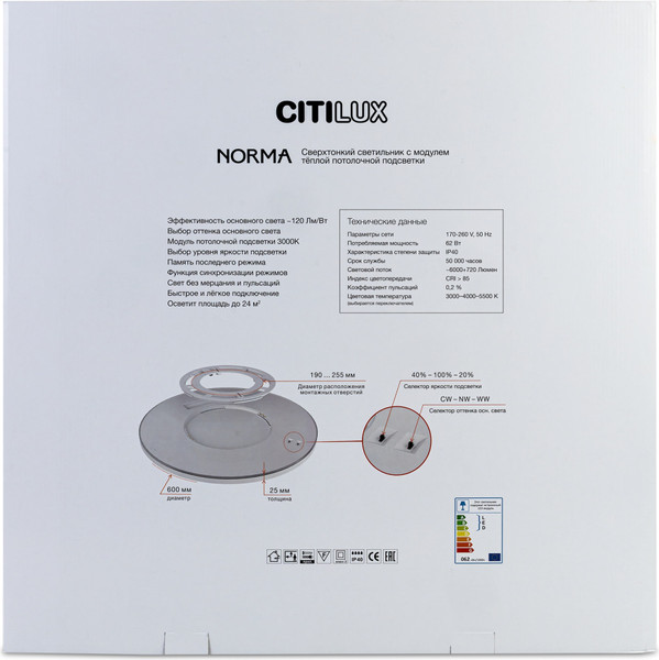 Изображение товара Потолочный светильник Citilux Norma CL748601