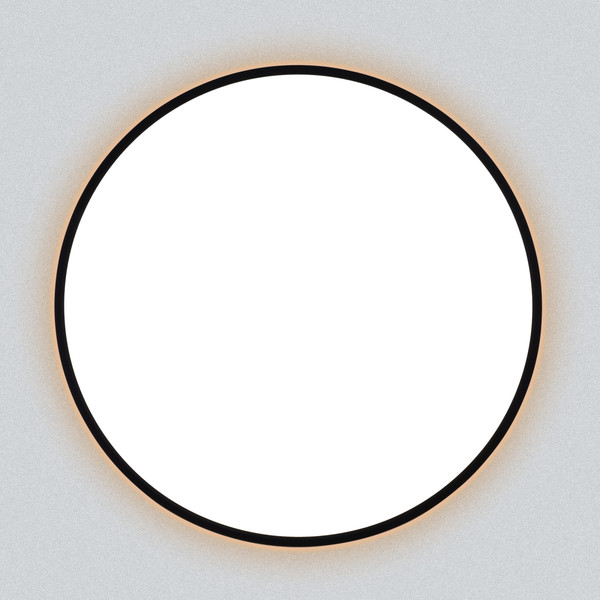 Изображение товара Потолочный светильник Citilux Norma CL748601