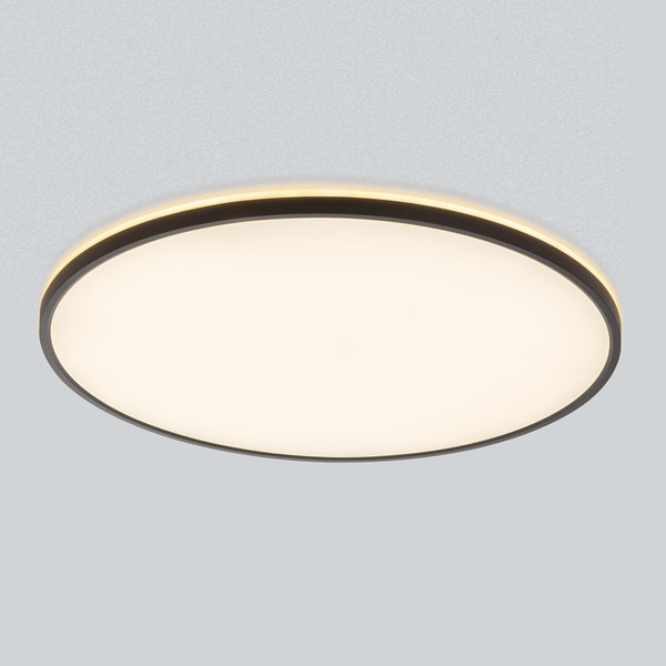 Изображение товара Потолочный светильник Citilux Norma CL748601