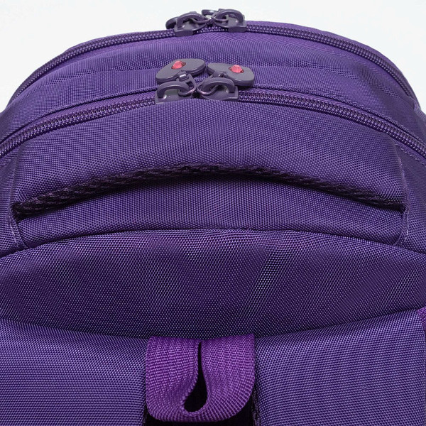 Изображение товара Школьный рюкзак Grizzly RG-560-3 (фиолетовый)