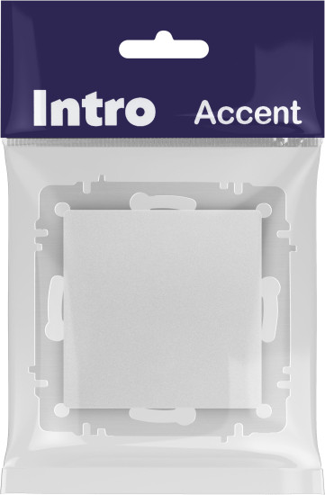 Изображение товара Выключатель INTRO Accent 6-109-03 / Б0063608 (алюминий)