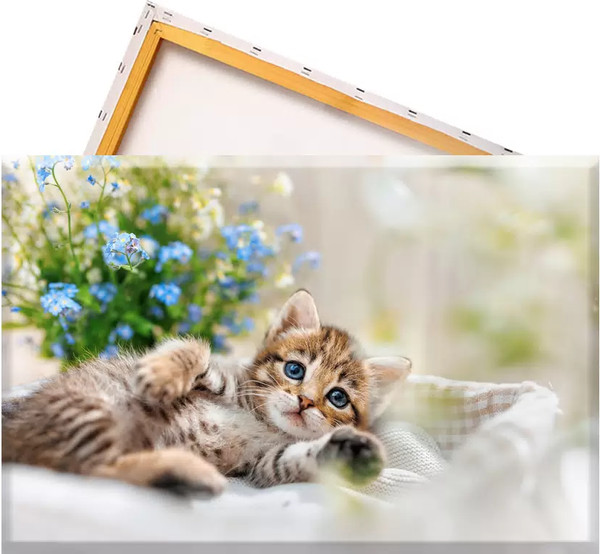 Изображение товара Набор алмазной вышивки Solmax&Creators Котенок / SM98458