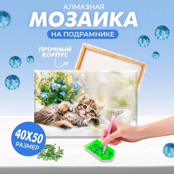 Изображение товара Набор алмазной вышивки Solmax&Creators Котенок / SM98458