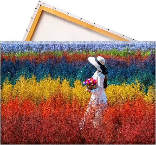 Изображение товара Набор алмазной вышивки Solmax&Creators Девушка на лугу / SM98457