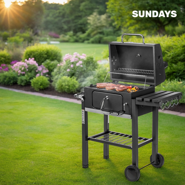 Изображение товара Угольный гриль Sundays KY4524S