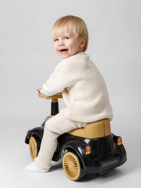 Изображение товара Каталка детская Amarobaby Retro AB24-7RT/0938 (черный/бежевый)