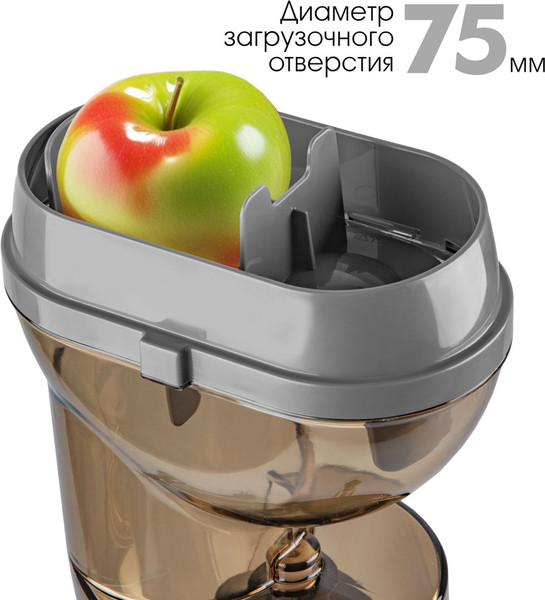 Изображение товара Соковыжималка электрическая VLK Profi-3300 (бежевый)