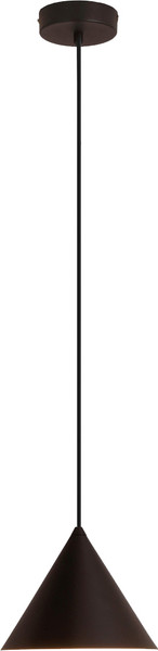 Изображение товара Потолочный светильник Kinklight Райви 08482-1A.19 (черный)