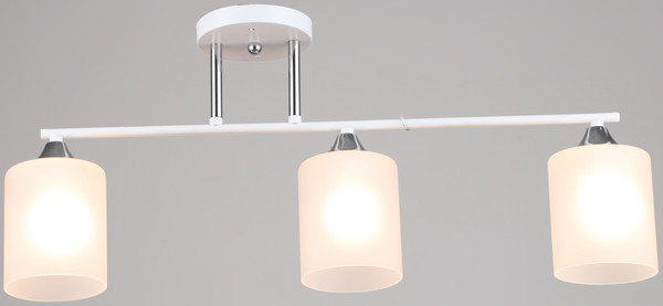 Изображение товара Потолочный светильник Mirastyle SX-N-2232/3 WT+CH