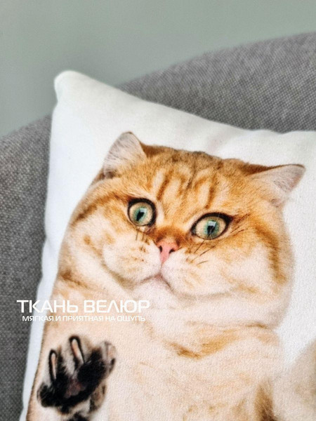 Изображение товара Подушка декоративная MATEX Fantasy Наглый кот / 44-499 (коричневый)