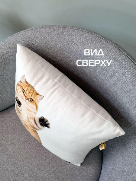 Изображение товара Подушка декоративная MATEX Fantasy Наглый кот / 44-499 (коричневый)