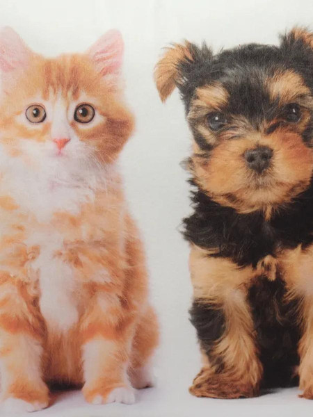 Изображение товара Подушка декоративная MATEX Fantasy Кот и собака / 44-505 (коричневый)