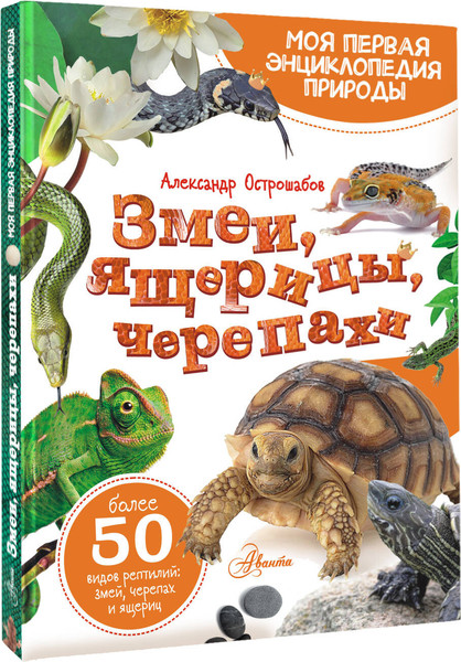 Изображение товара Энциклопедия АСТ Змеи, ящерицы, черепахи, твердая обложка (Острошабов Александр)