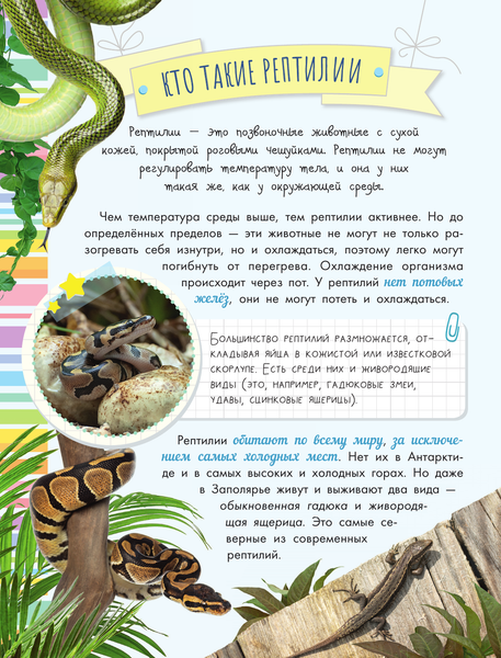 Изображение товара Энциклопедия АСТ Змеи, ящерицы, черепахи, твердая обложка (Острошабов Александр)
