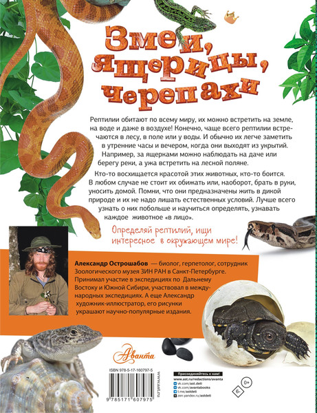 Изображение товара Энциклопедия АСТ Змеи, ящерицы, черепахи, твердая обложка (Острошабов Александр)