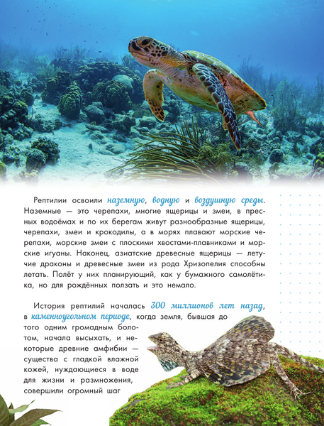 Изображение товара Энциклопедия АСТ Змеи, ящерицы, черепахи, твердая обложка (Острошабов Александр)