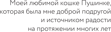 Изображение товара Учебное пособие АСТ Как говорить по-английски бегло вместе с English Spot