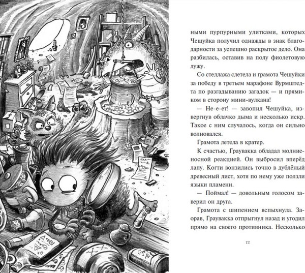 Изображение товара Книга Эксмо Хаос в Волшебном лесу, твердая обложка (Катя Брандис)