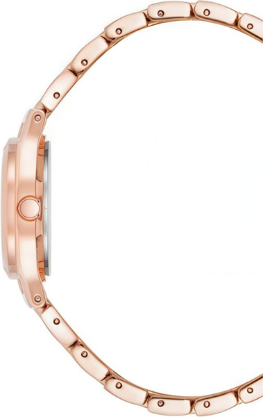 Изображение товара Часы наручные женские Anne Klein 10/5490MPRG