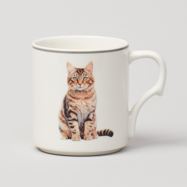 Изображение товара Набор кружек Lefard Meow 153-946 (4шт)