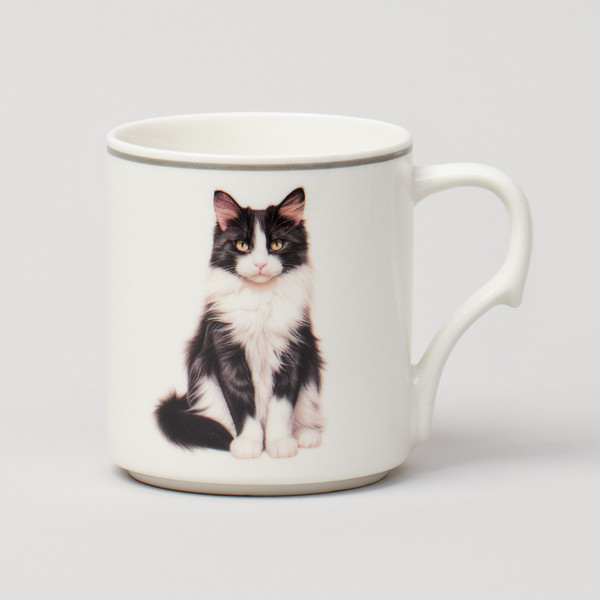 Изображение товара Набор кружек Lefard Meow 153-946 (4шт)