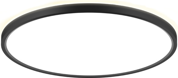 Изображение товара Потолочный светильник Citilux Norma CL748401