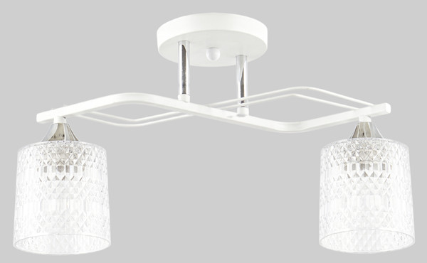 Изображение товара Потолочный светильник Aitin-Pro НПБ 02-2x60-101 / 6204/2 (белый/хром)