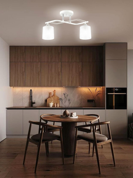 Изображение товара Потолочный светильник Aitin-Pro НПБ 02-2x60-101 / 6204/2 (белый/хром)