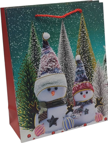 Изображение товара Пакет подарочный MONAMI GB25-0003