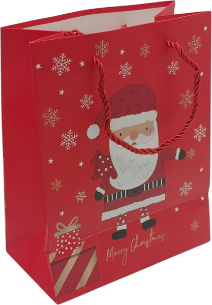 Изображение товара Пакет подарочный MONAMI GB25-0007