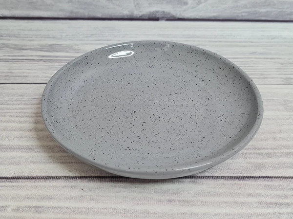 Изображение товара Тарелка столовая обеденная Борисовская керамика 109535 (туман)