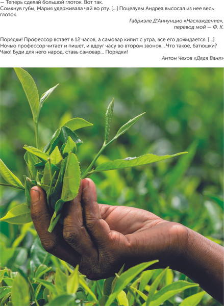 Изображение товара Книга АСТ Чай, твердая обложка (Давиде Пеллегрино)