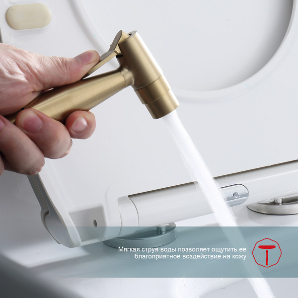 Изображение товара Гигиенический душ со смесителем Raglo R20.52.03