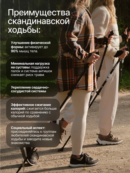 Изображение товара Палка для скандинавской ходьбы RoadLike Protect / 432076 (белый)