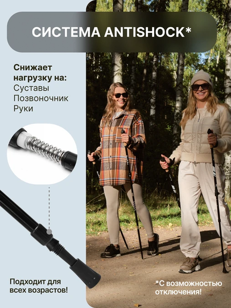Изображение товара Палка для скандинавской ходьбы RoadLike Protect / 432076 (белый)