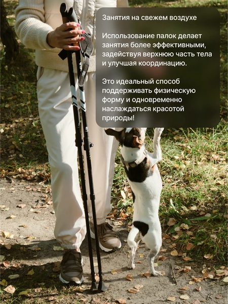 Изображение товара Палка для скандинавской ходьбы RoadLike Protect / 432076 (белый)
