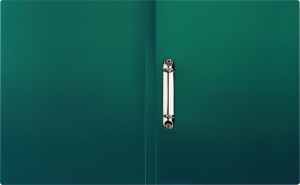 Изображение товара Папка для бумаг Стамм Хамелеон / ММ-31861 (зеленый)