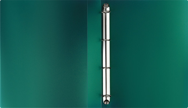 Изображение товара Папка для бумаг Стамм Хамелеон / ММ-31862 (зеленый)