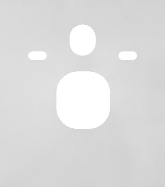 Изображение товара Звукоизоляционная панель для подвесного унитаза Ceramica Nova Balance CN121000