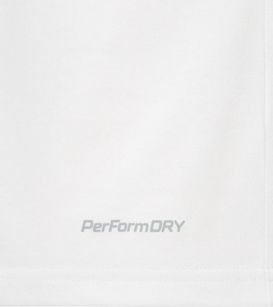 Изображение товара Лонгслив спортивный Jogel Division PerFormDRY Pre-Match Longsleeve Jersey (L, белый)