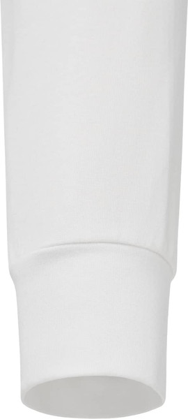 Изображение товара Лонгслив спортивный Jogel Division PerFormDRY Pre-Match Longsleeve Jersey (M, белый)