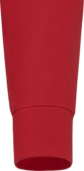 Изображение товара Лонгслив спортивный Jogel Division PerFormDRY Pre-Match Longsleeve Jersey (L, красный)