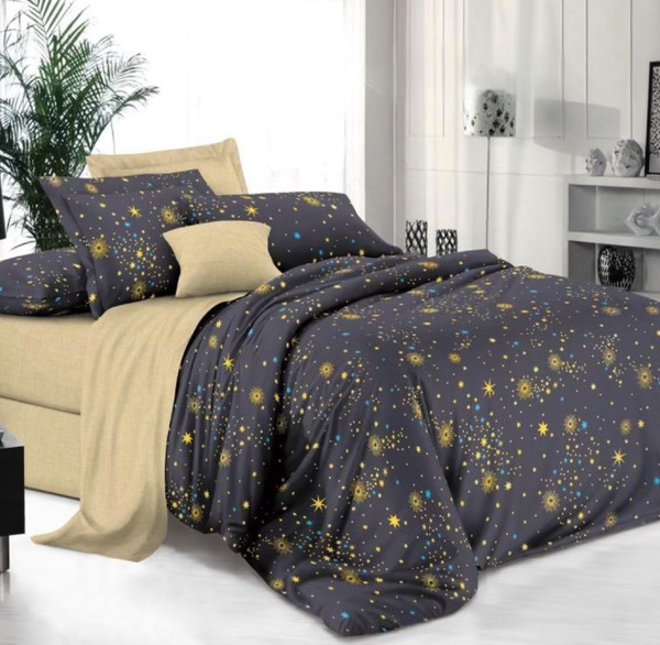 Изображение товара Комплект постельного белья Alleri Поплин Luxe 2сп с европростыней / П-366